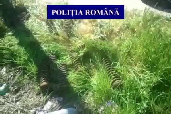 Prins în timp ce fura arcurile de la vagoanele aflate în conservare